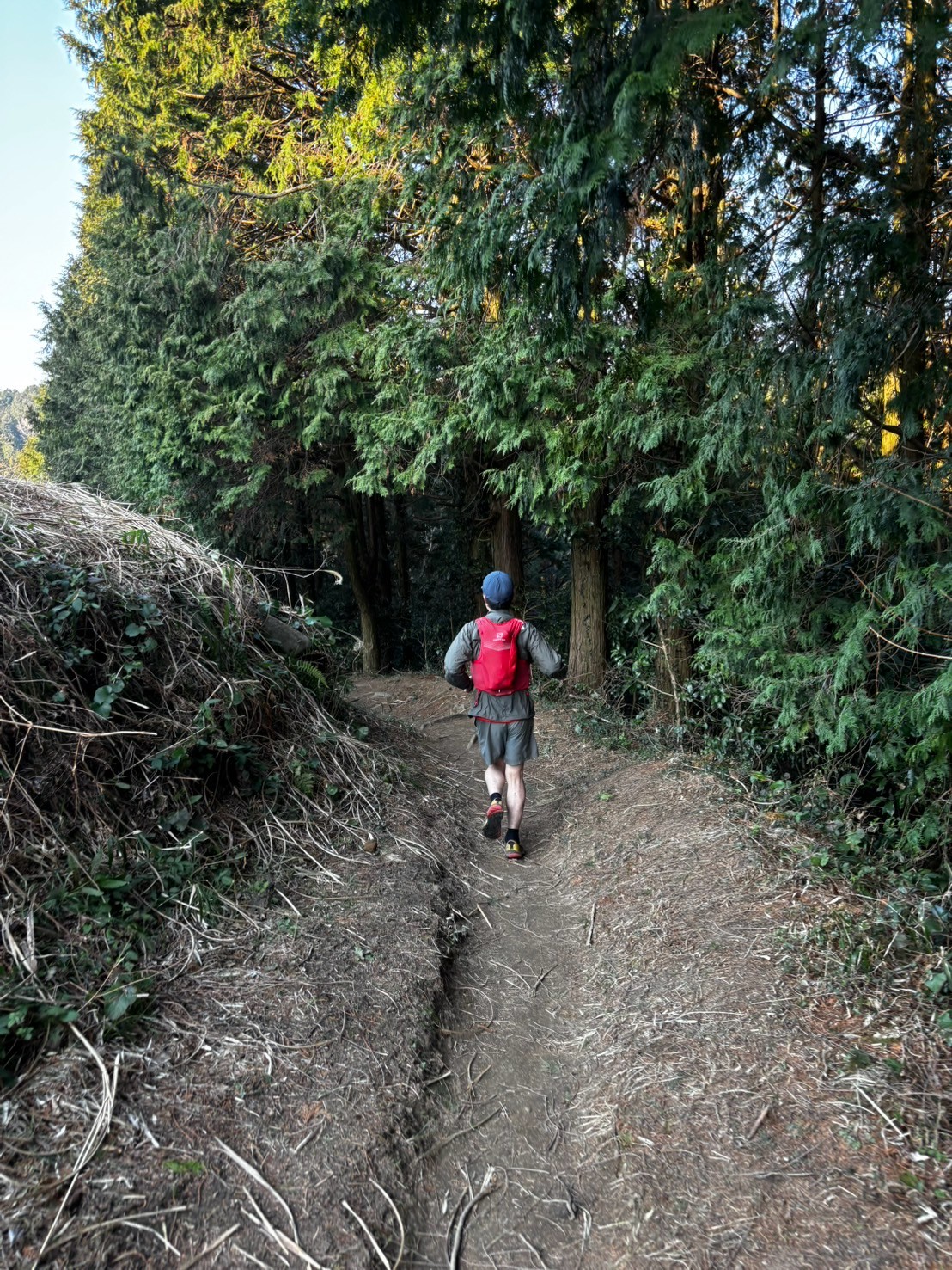 トレイルランニングカテゴリーのイメージ画像